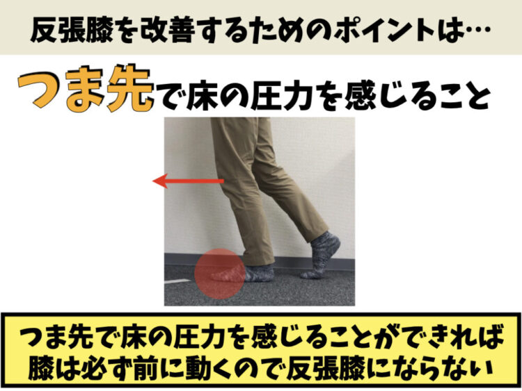 反張膝 Back Knee を治すための自主トレ方法 脳と脊髄リハビリ研究センター福岡