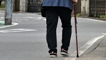 【脳卒中リハビリ】膝が曲がらないのは、膝のせいじゃないー最新研究が示す「歩行再建の新視点」ー